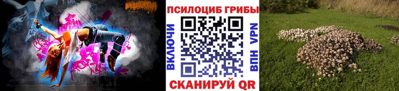 Галлюциногенные грибы Psilocybine cubensis Алапаевск